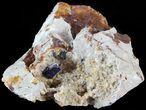 Azurite Crystals Cluster on Quartz - Morocco #49454-1